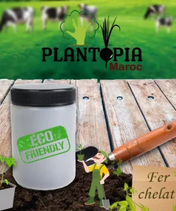 Fer 100 gr – Chélate EDDHA – Correcteur de carence – Anti chlorose Ferrique