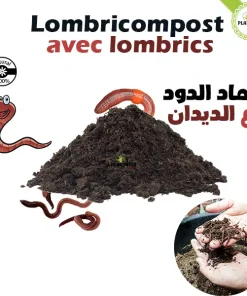 Lombrics en vrac – 1Kg Vers de compostage « Avec lombricompost »