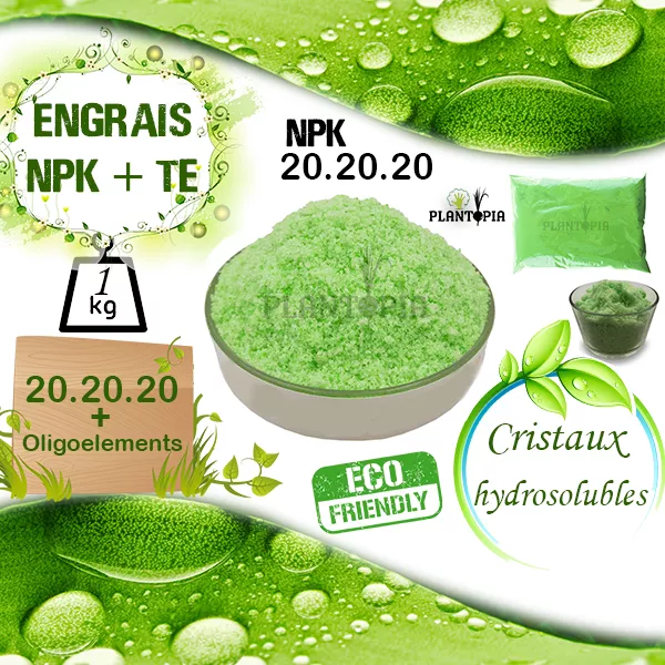 Engrais NPK 20.20.20+TE – 1kG Hydrosoluble
